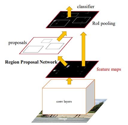 图2 Faster R-CNN 结构